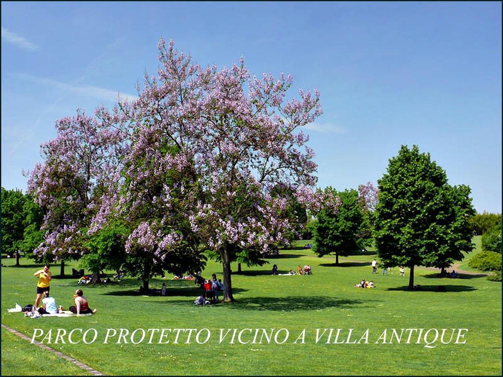 Villa Antique Con Piscina Idromassaggio In Verona, Veneto, Italia Cerea 客房 照片